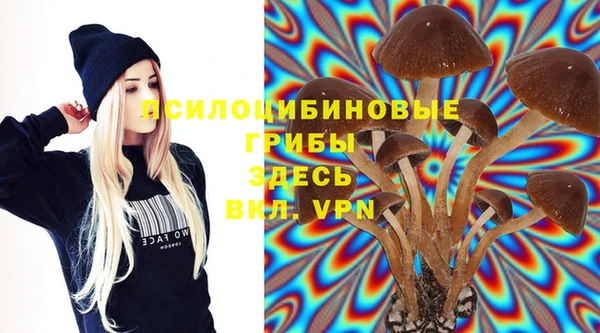 прущие крисы Алзамай