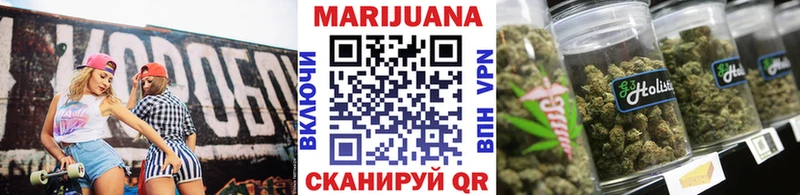 Каннабис сатива  Курганинск 